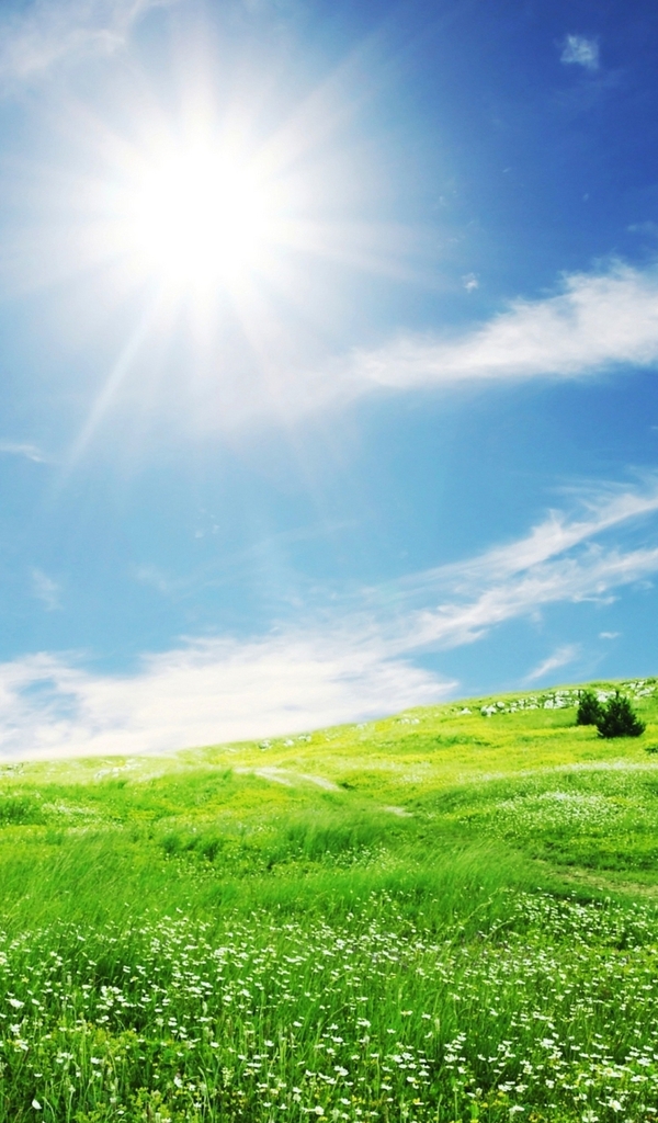 Image: Landscape, field, grass, sky, sun, clouds