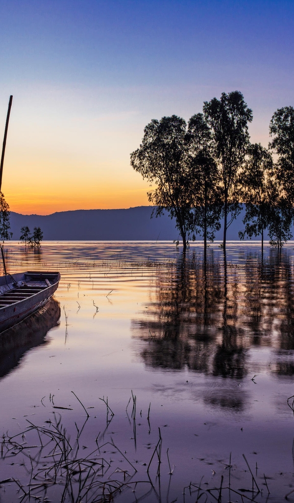 Image: nature, boat, lake, trees, sunset