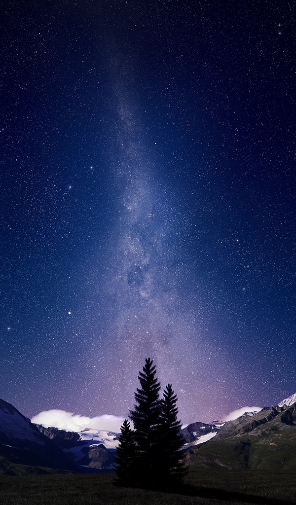 Image: Mountains, trees, sky, stars