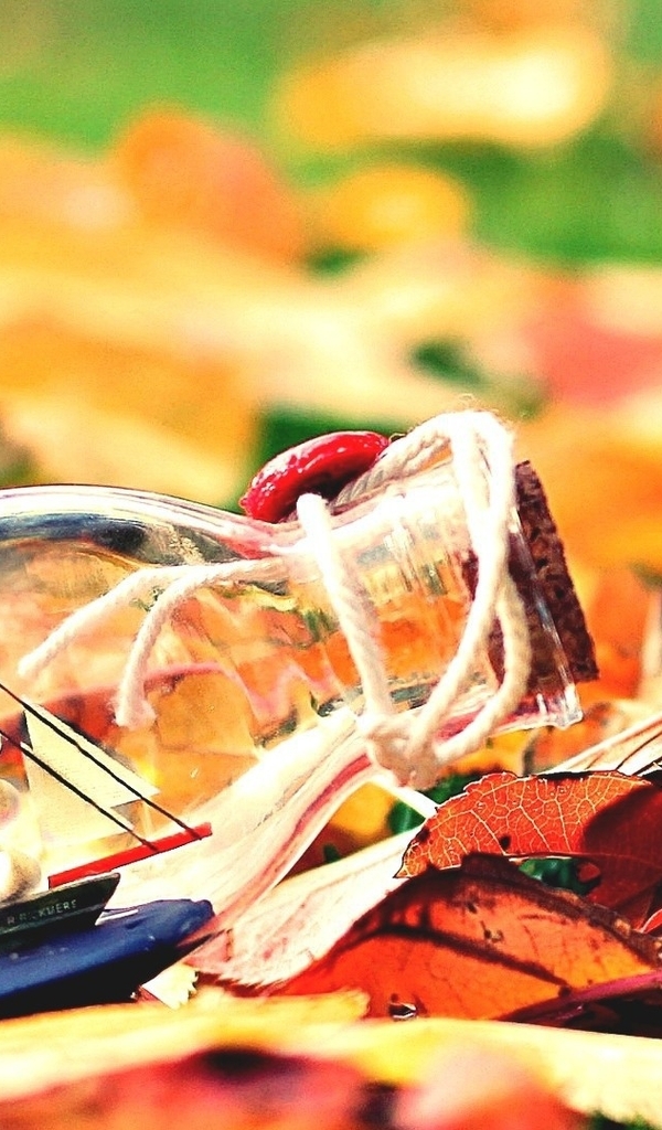 Image: Bottle, little ship, sails, mast, leaves, autumn