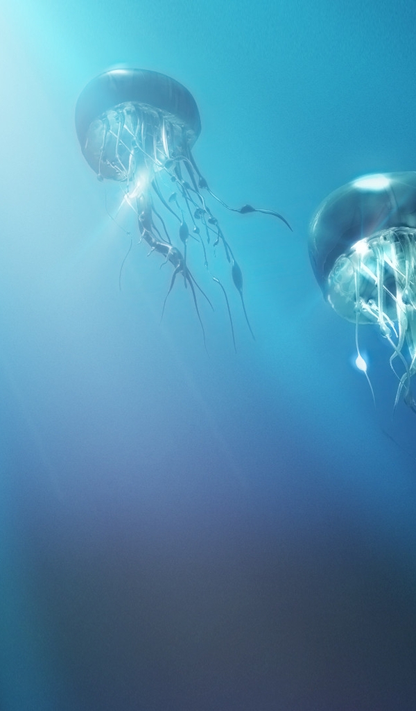 Картинка: Медузы, свет, океан, море, щупальца, купола