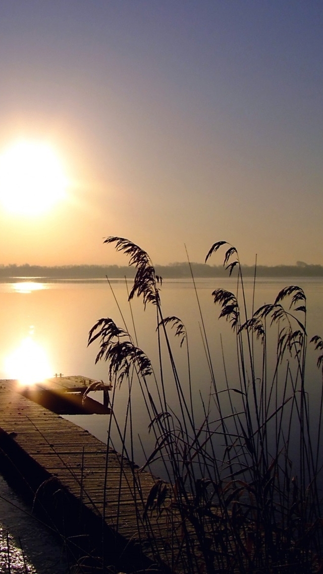Image: Sun, sunset, lake, grass, reeds, sky, skyline, bridge