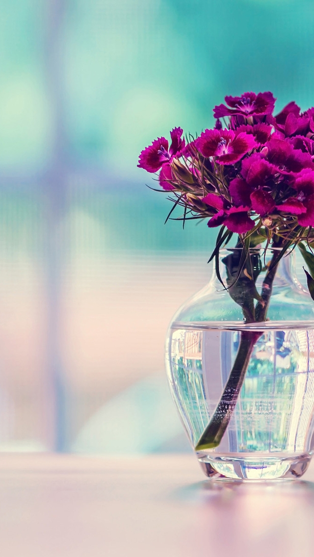 Картинка: Цветы, букет, гвоздика, ветка, ваза, вода