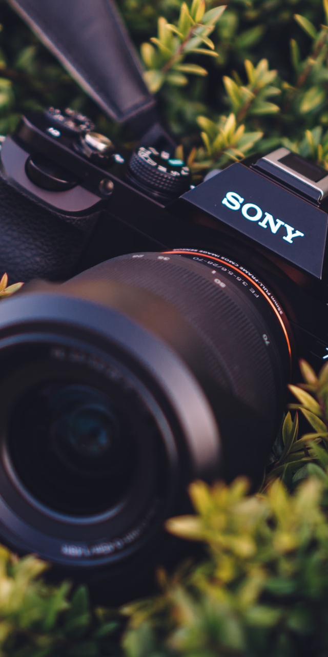 Image: Sony, A7, camera, lens, leaves, grass