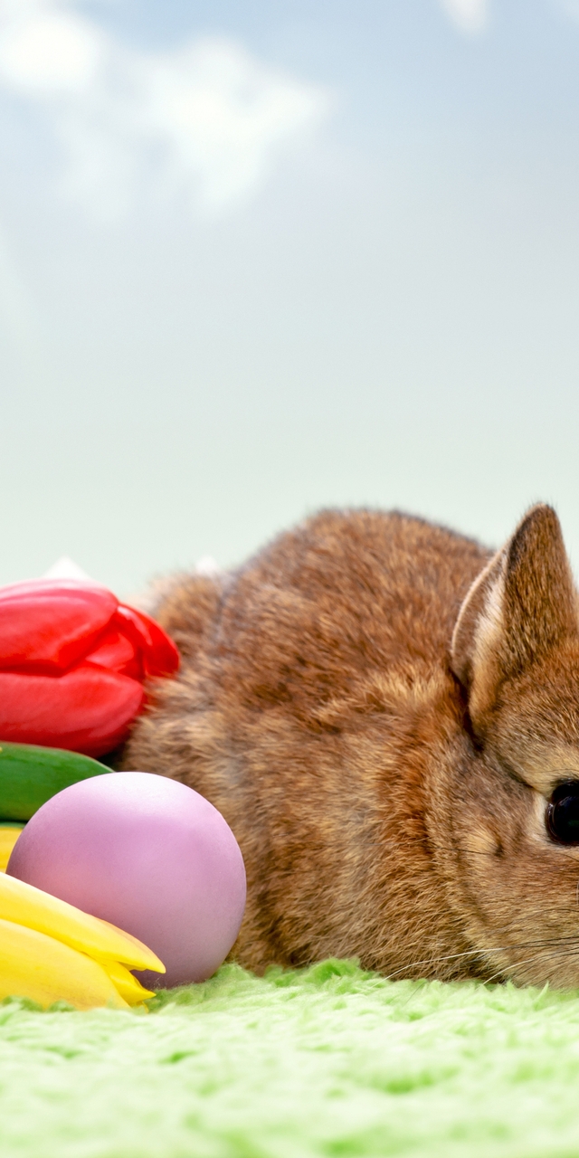 Картинка: Кролик, букет, тюльпаны, цветы, яйца, Пасха