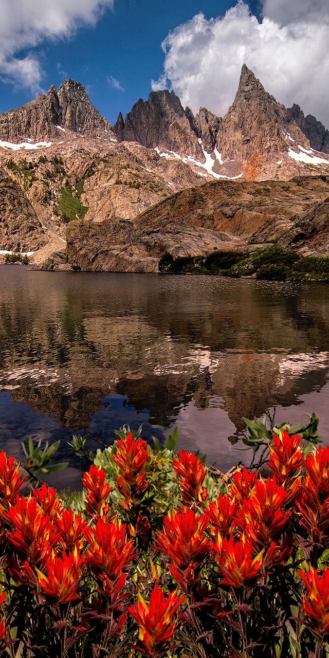Картинка: Горы, вода, озеро, отражение, цветы, растения, небо, облака