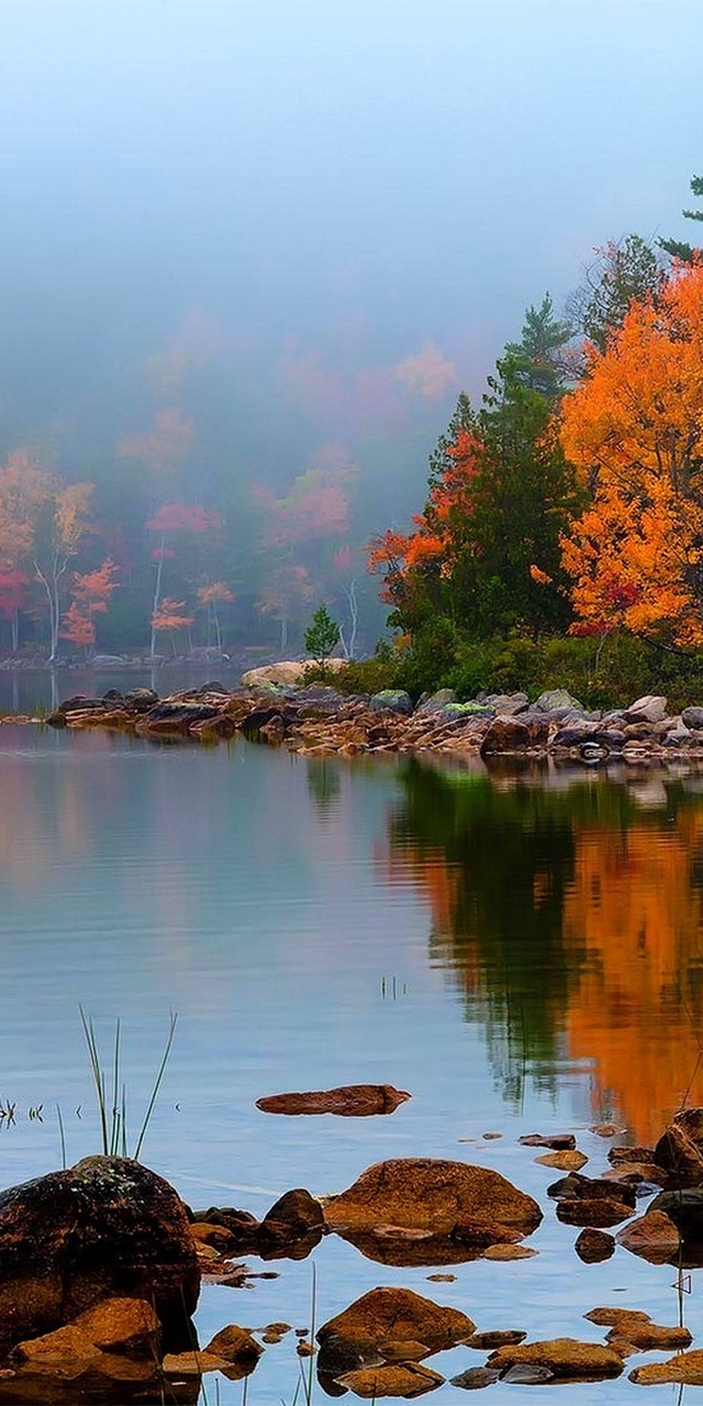 Картинка: Осень, пейзаж, деревья, листья, камни, вода, озеро, отражение, туман