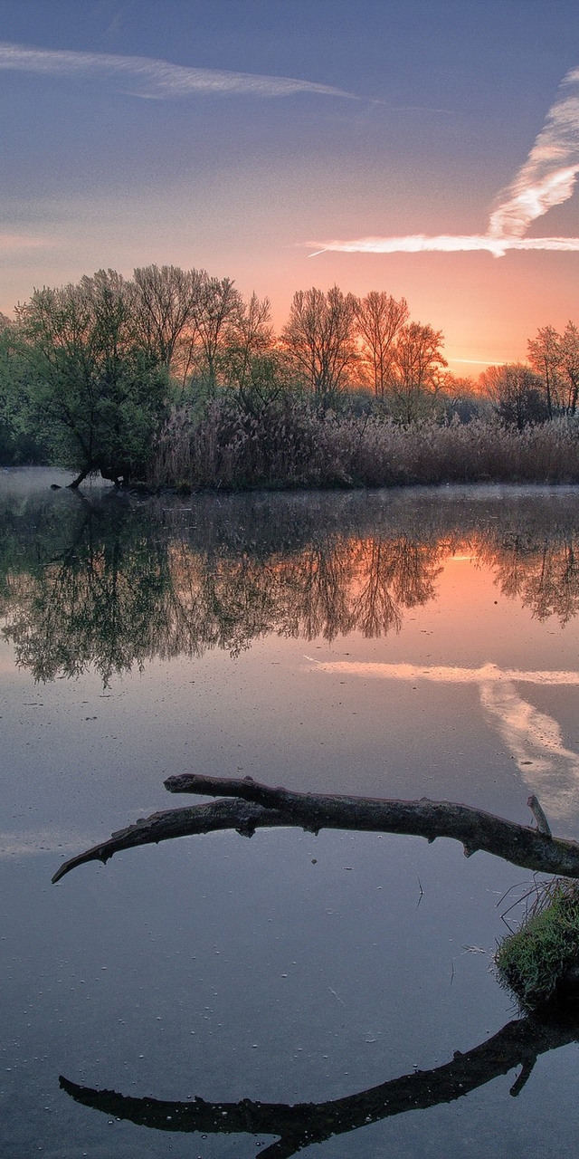 Image: Nature, trees, river, lake, dawn
