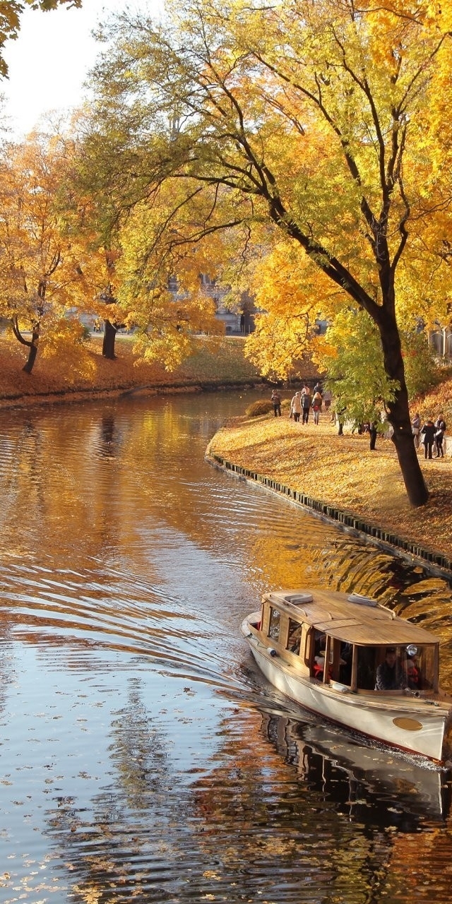 Картинка: Осень, река, вода, теплоход, парк, листья, жёлтые