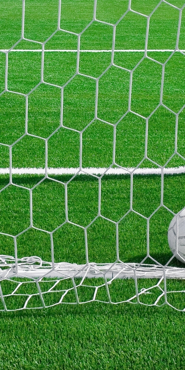 Image: Ball, gate, lawn, grass, football