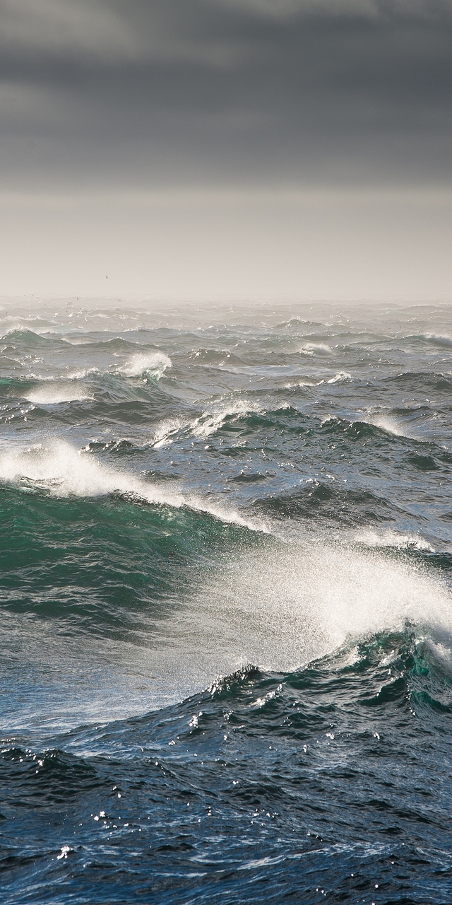 Картинка: Вода, волна, пена, шторм, море