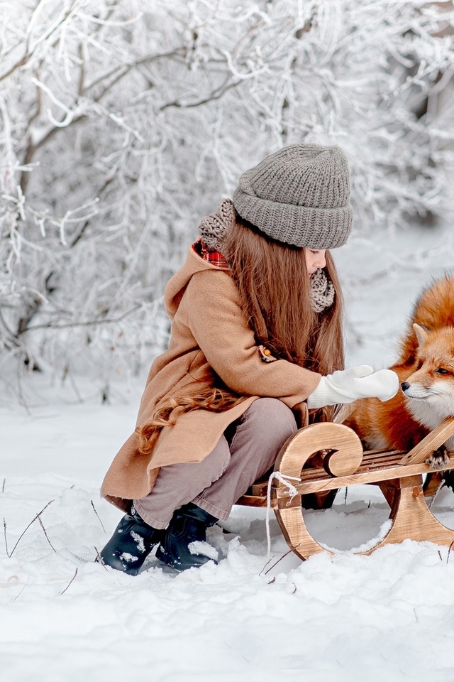 Image: Girl, sleigh, fox, winter, snow