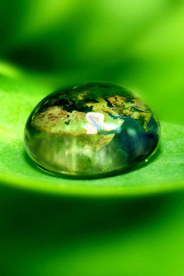 Image: Drop, water, macro, leaf, reflection, continent, Africa, Europe, fantasy