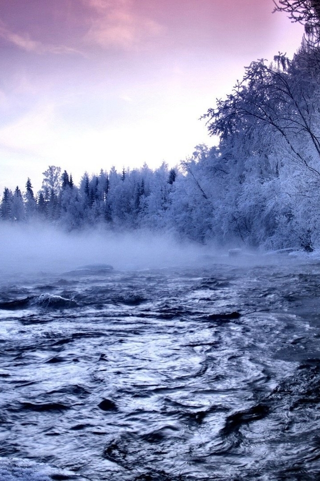 Картинка: река, туман, лес
