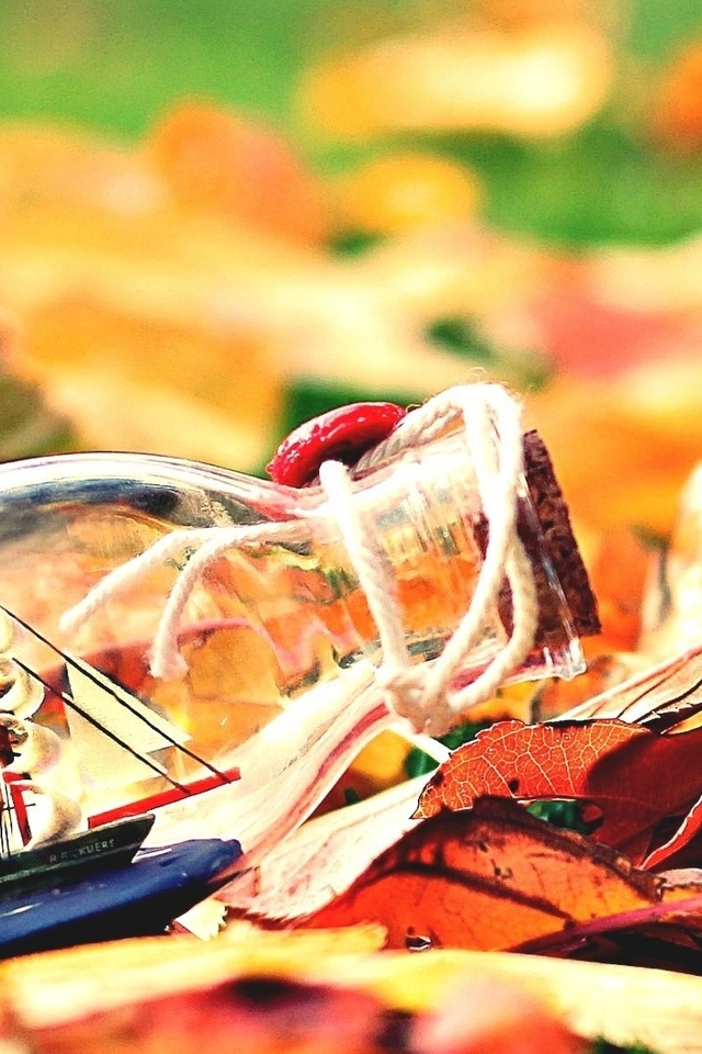 Картинка: Бутылка, кораблик, паруса, мачта, листья, осень