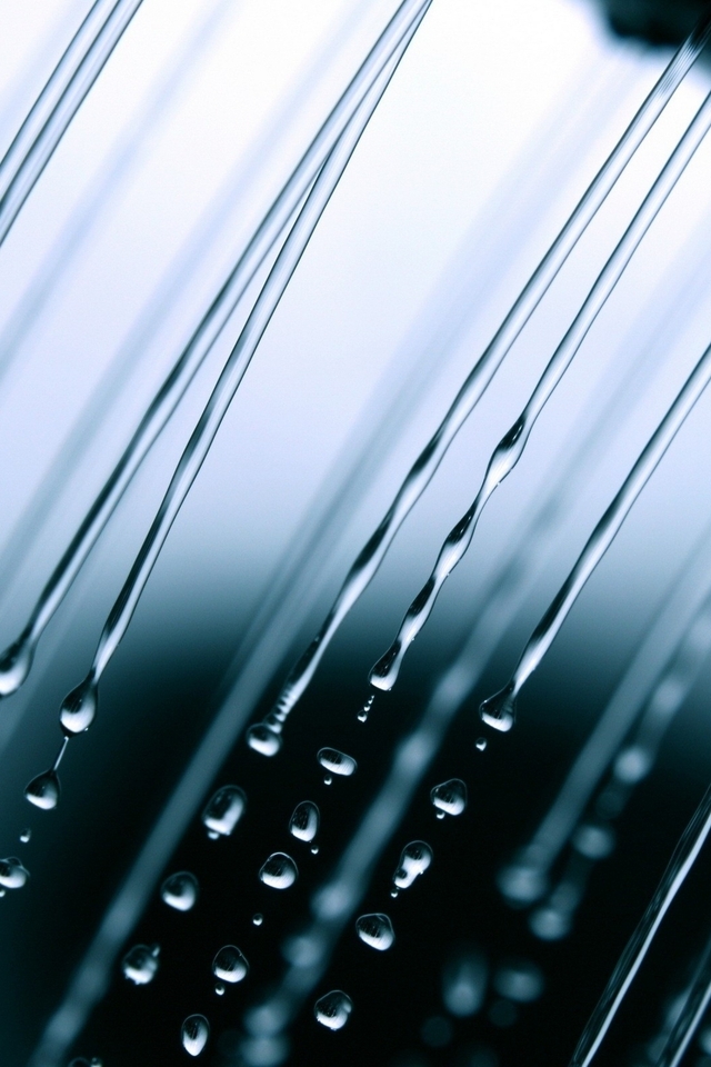 Image: Rain, drops, water, macro, liquid