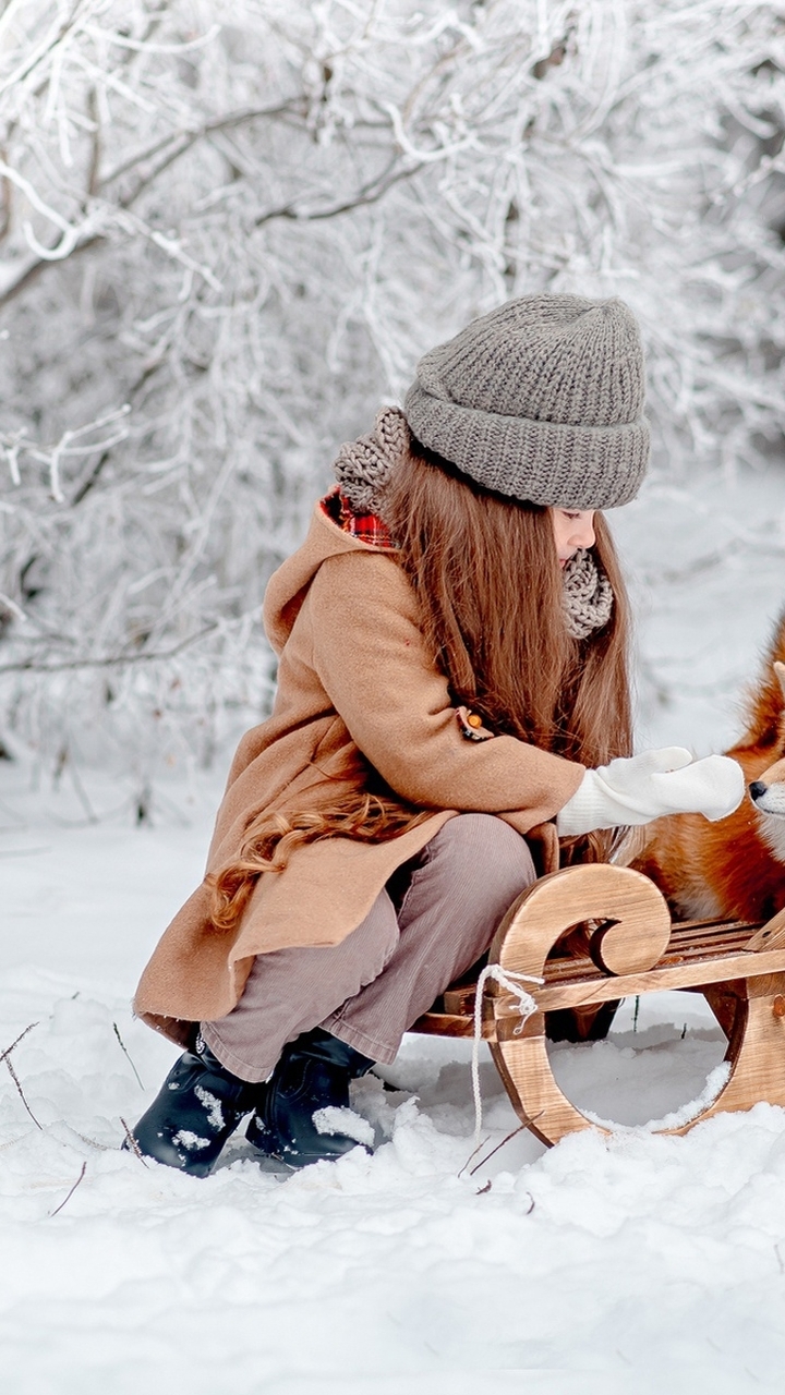 Картинка: Девочка, сани, лиса, зима, снег