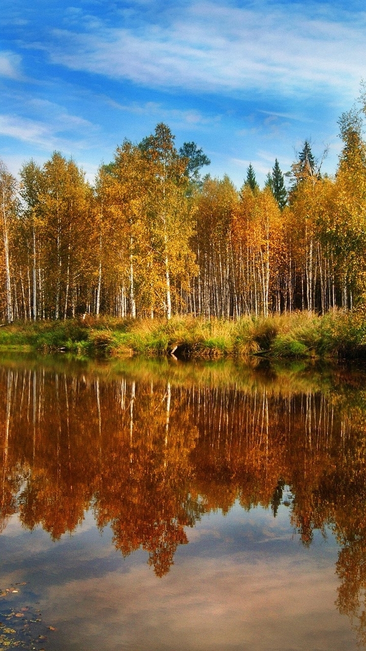 Картинка: Осень, деревья, листва, трава, отражение, озеро, вода, день, небо, облака