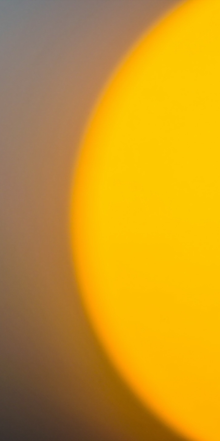 Картинка: Капли, солнце, жёлтое, закат, нитка паутины