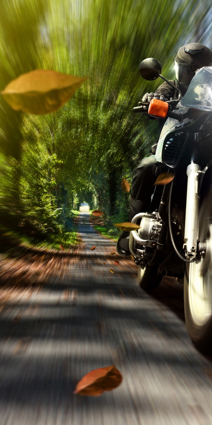 Картинка: Мотоцикл, байк, гонщик, скорость, листва, деревья, дорожка, фара, свет, размытость