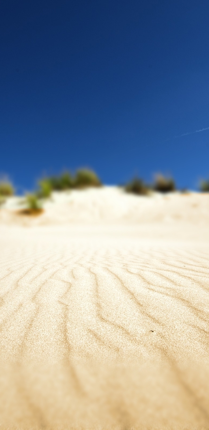 Картинка: Пустыня, небо, песок, рябь, волны, кусты, растительность, фокус