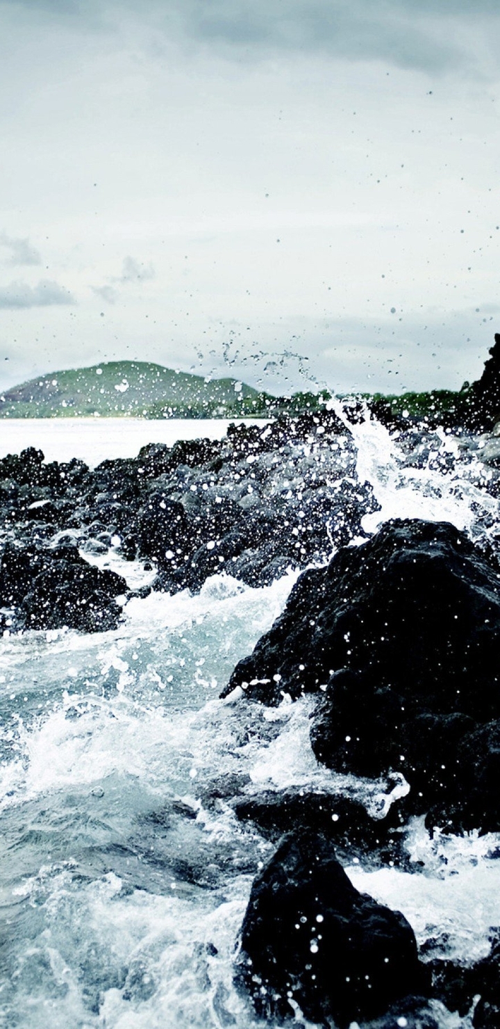 Image: Water, rocks, stones, sky, coast, tree, island