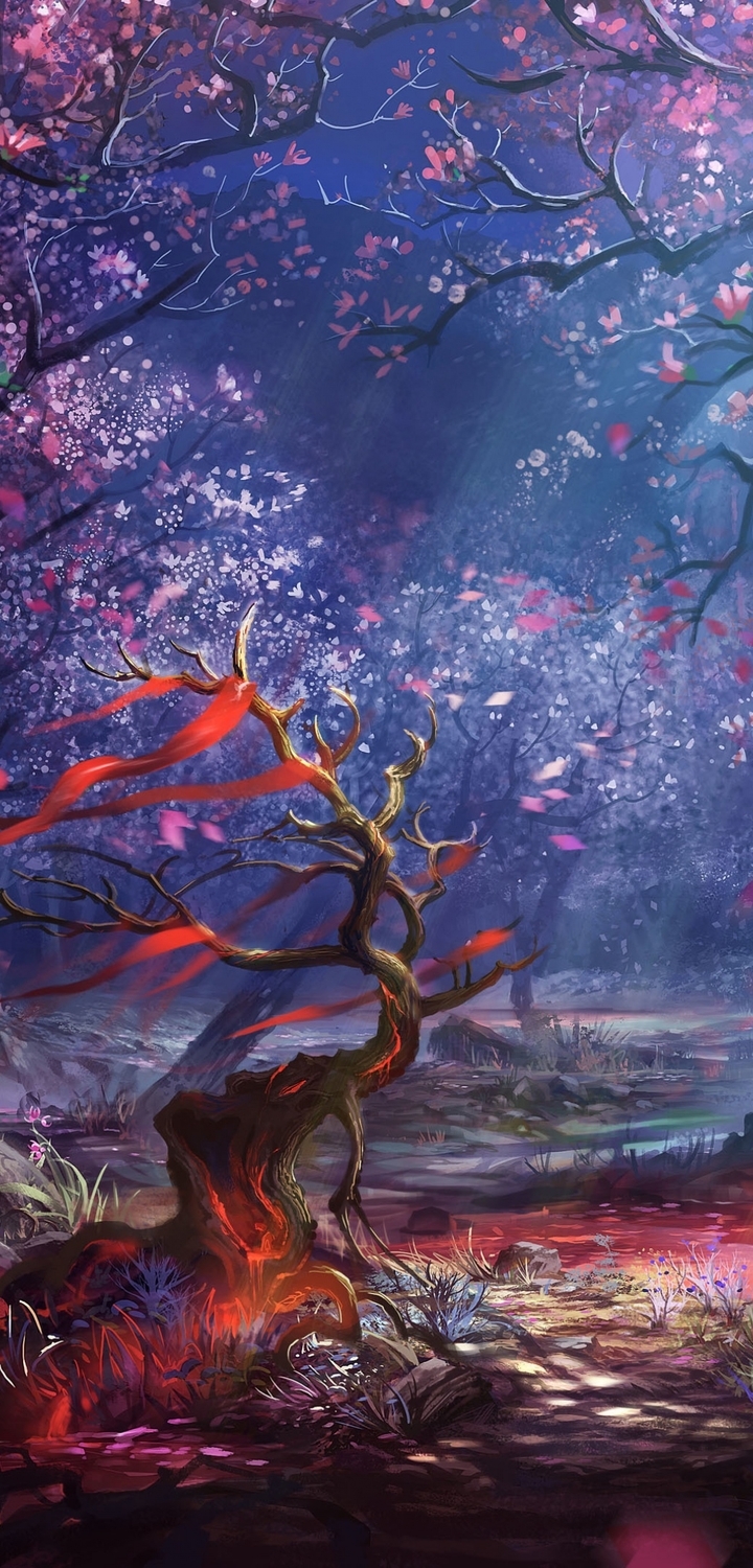 Картинка: Сакура, лес, деревья, ночной свет, листья, пень, ветки, вода