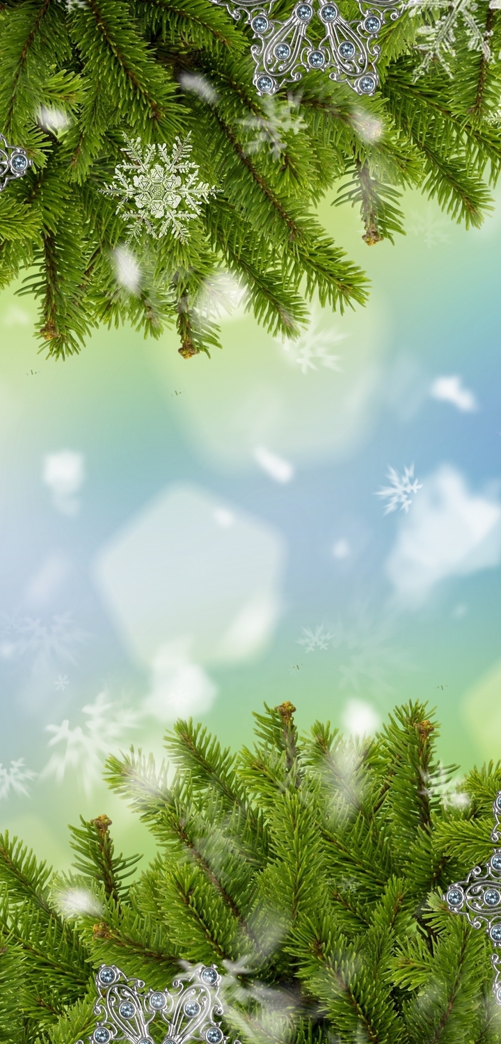 Image: Fir-tree, needles, snowflakes, New year