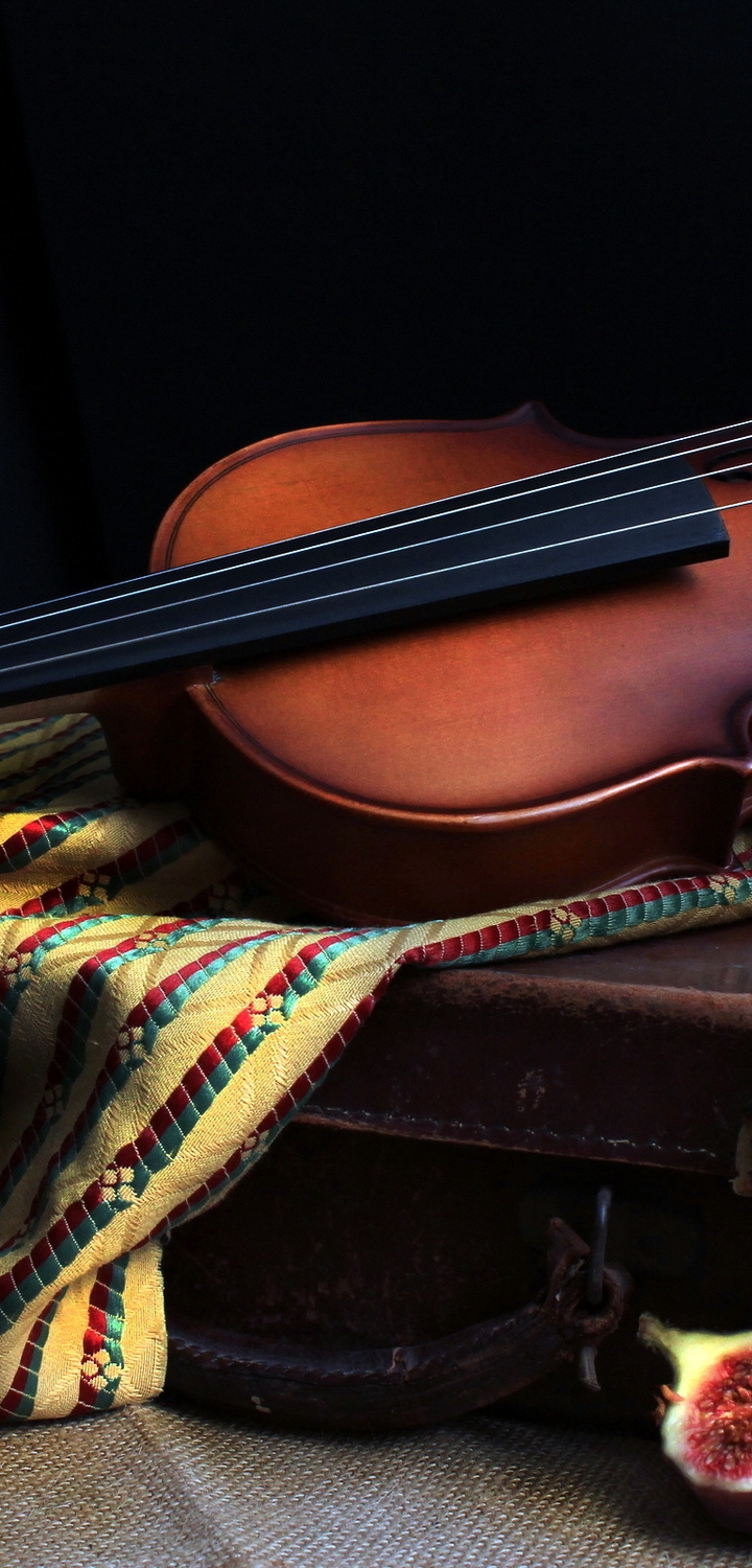 Картинка: Скрипка, струны, инструмент, чемодан, инжир