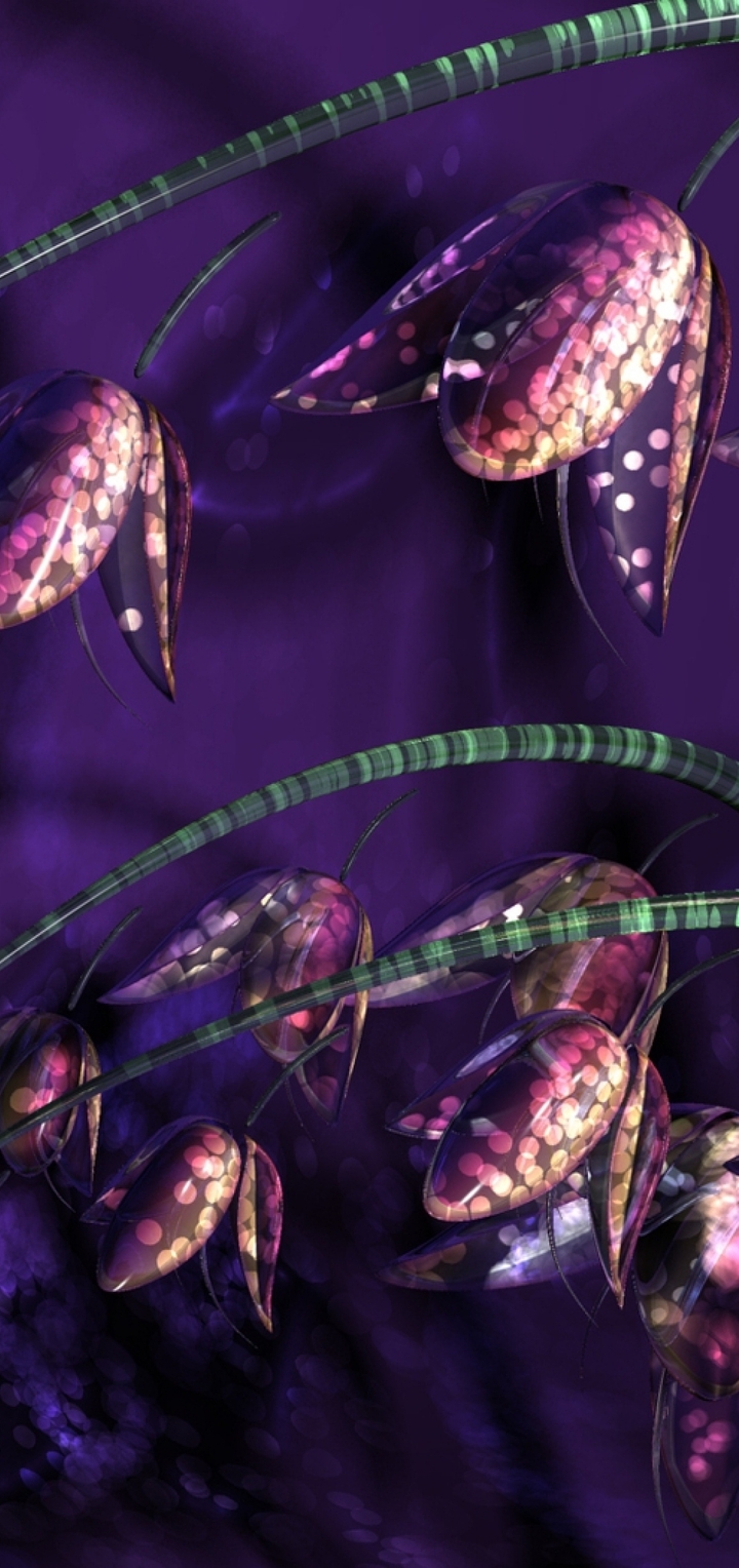 Картинка: Колокольчики, цветы, растение, сиреневый, фиолетовый