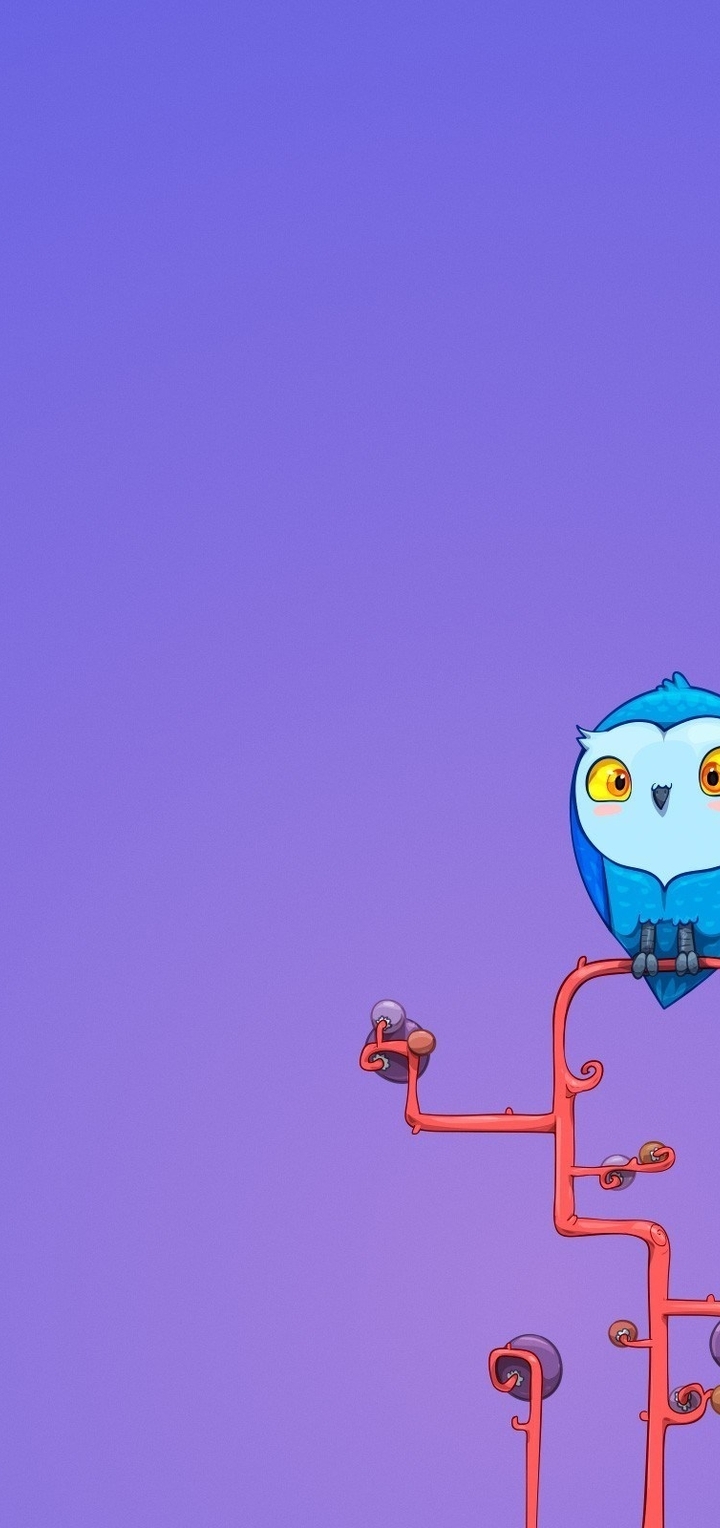 Image: Owl, sitting, branch, pattern, background