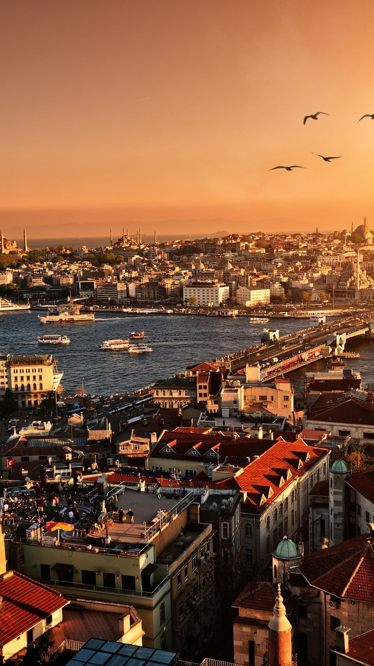 Image: Turkey, Istanbul, landscape, city, river, Galata bridge, evening, sunset, sun, birds, flock