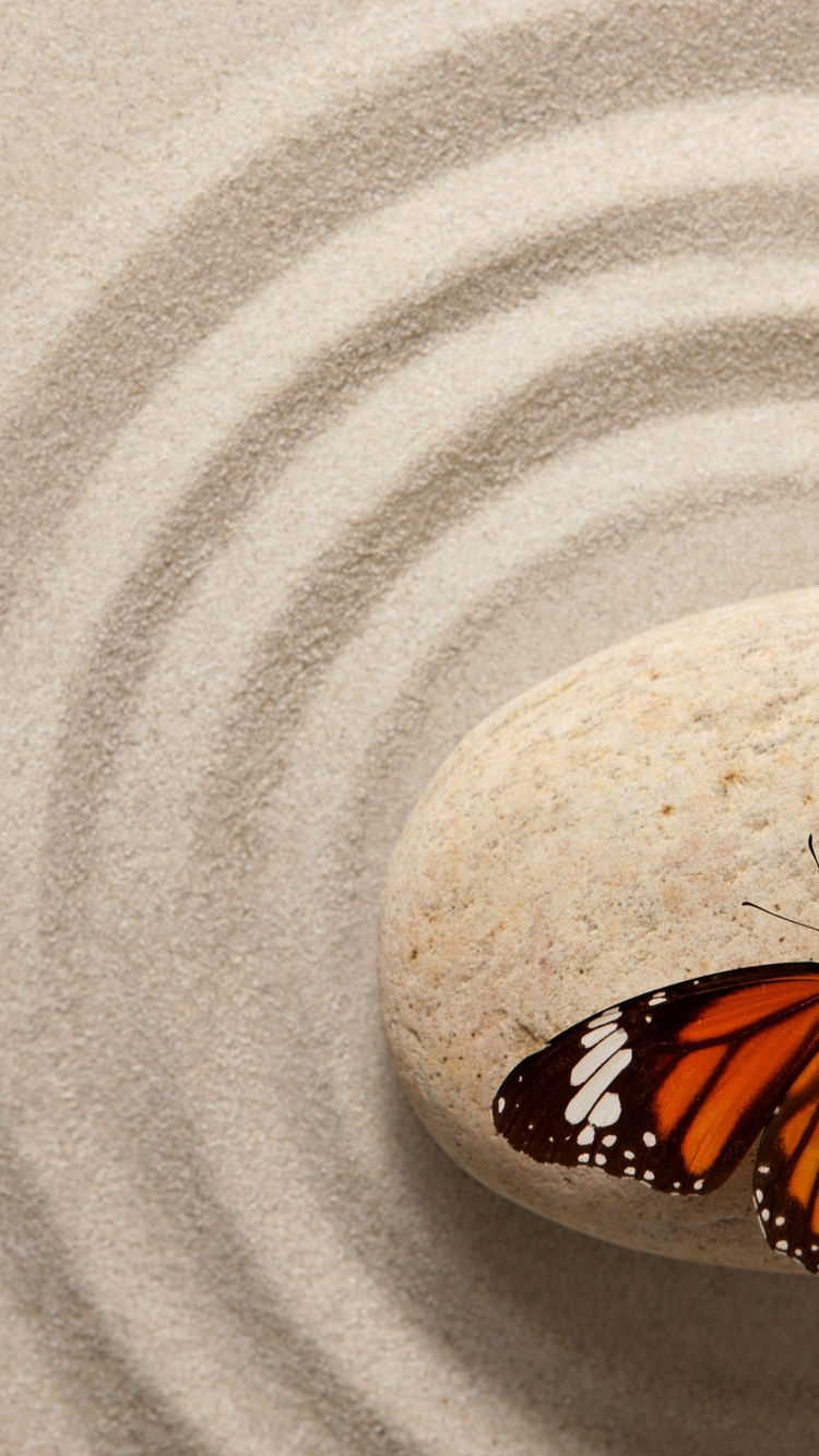 Картинка: Бабочка, крылья, окрас, камень, песок