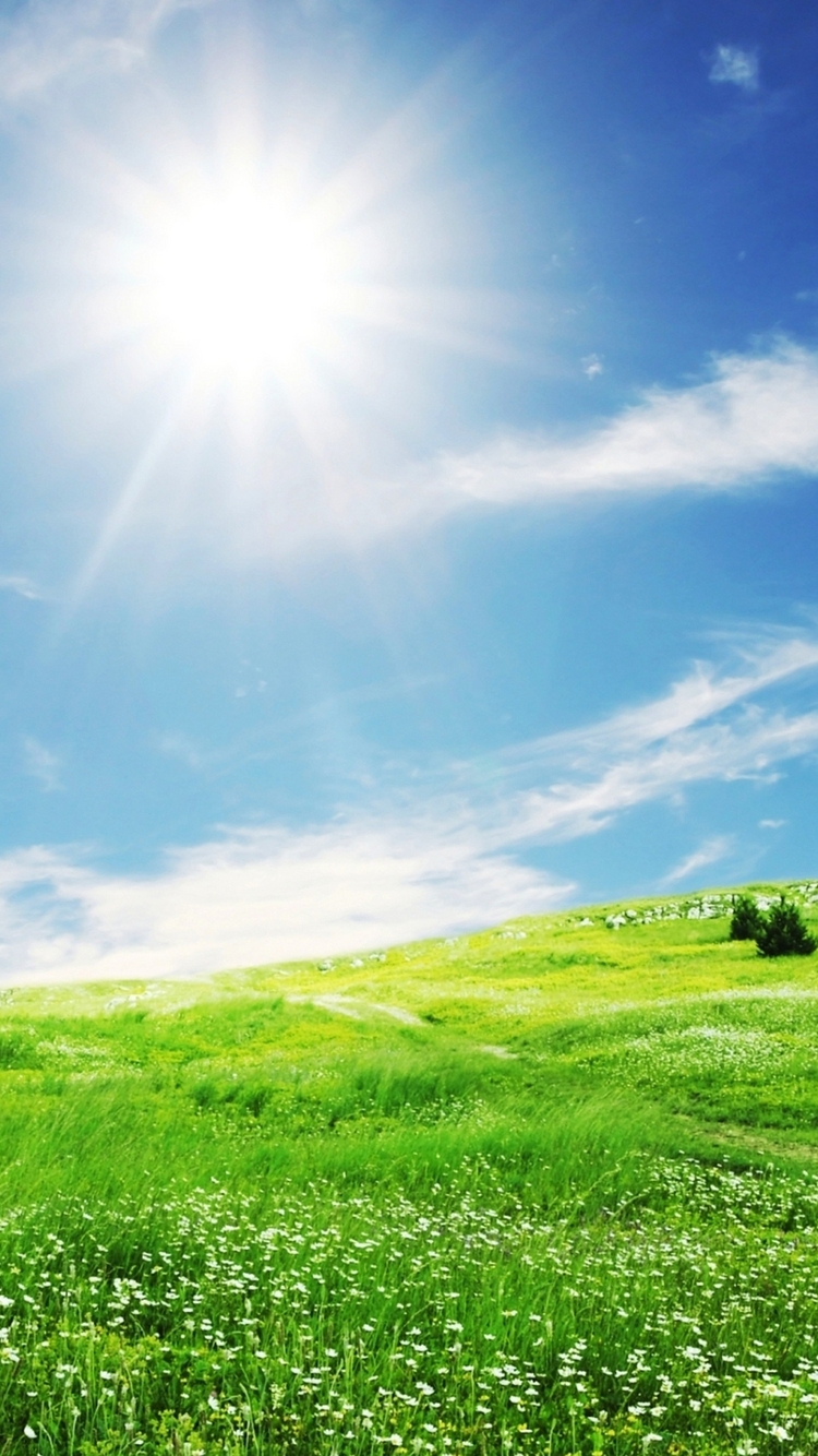 Картинка: Пейзаж, поле, трава, небо, солнце, облака