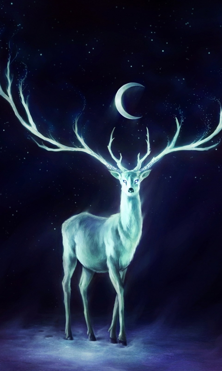 Картинка: Сияние, животное, олень, рога, луна, небо, звёзды, ночь