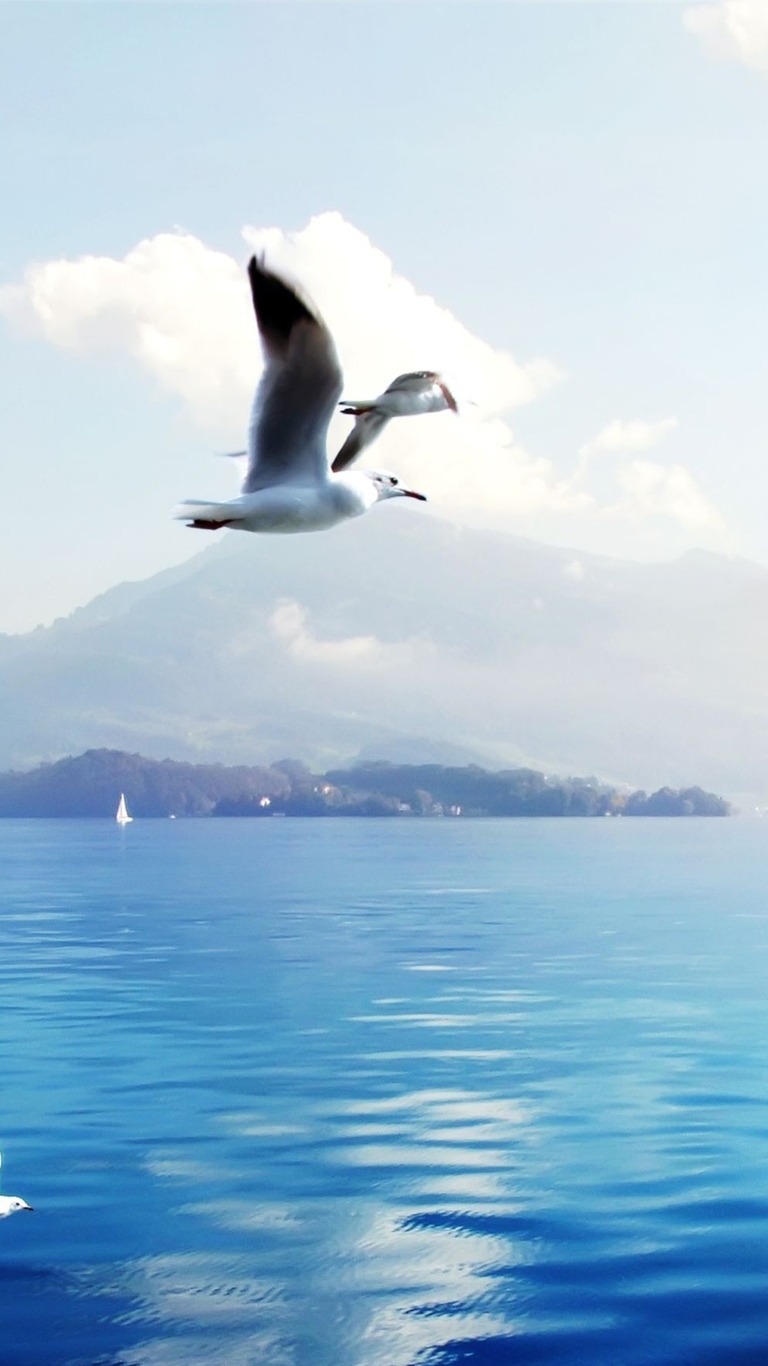 Картинка: Чайки, остров, летят, море, вода, небо, облака