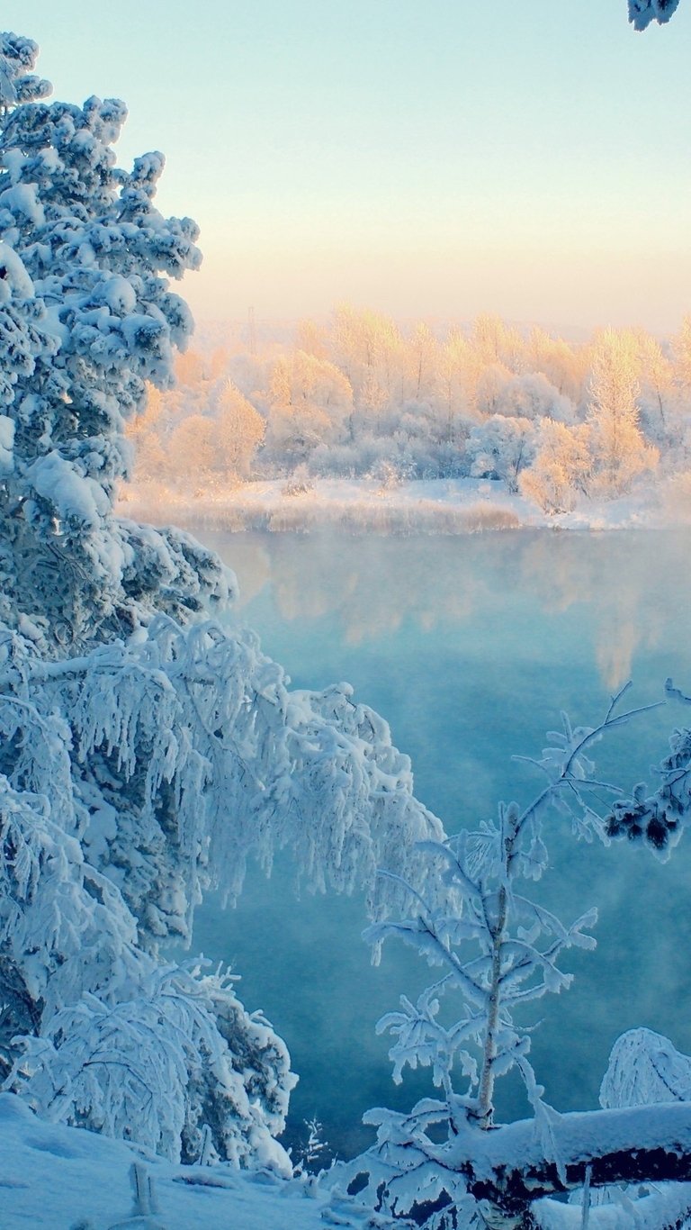 Image: winter, snow, trees