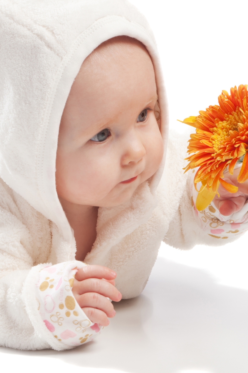 Image: Baby, child, face, look, eyes, flower, petals