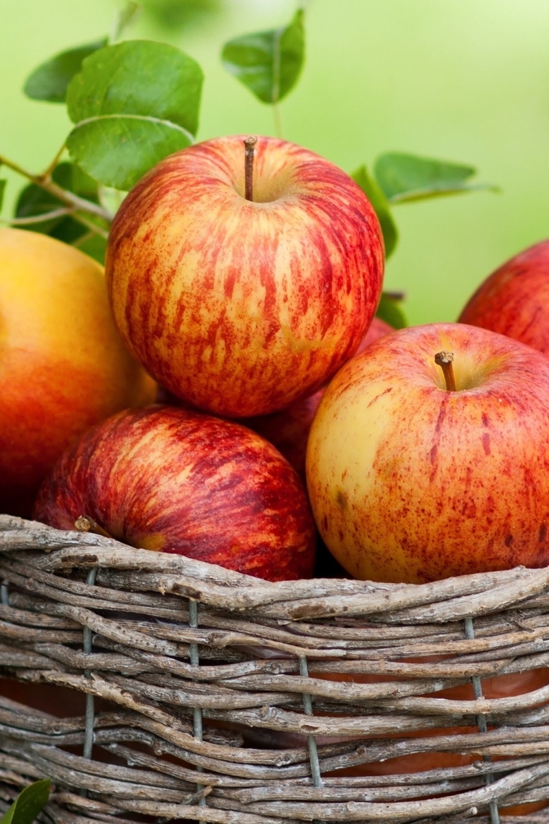Картинка: Яблоки, фрукты, урожай, корзинка, лето, витамины