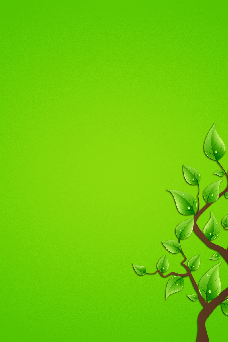 Картинка: Зелёный фон, дерево, листья