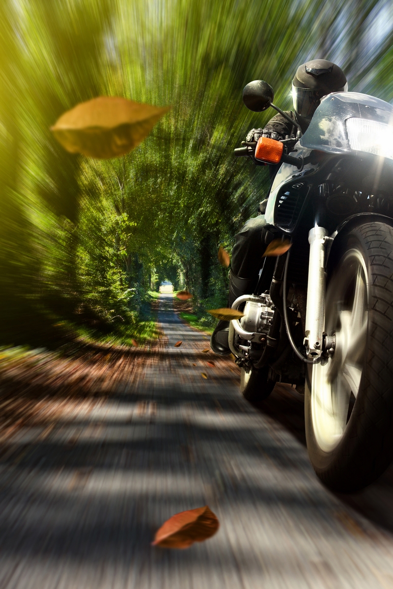 Картинка: Мотоцикл, байк, гонщик, скорость, листва, деревья, дорожка, фара, свет, размытость