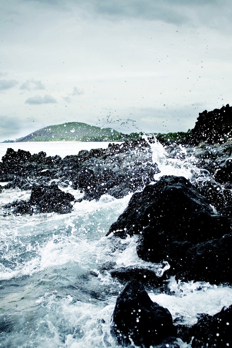 Image: Water, rocks, stones, sky, coast, tree, island