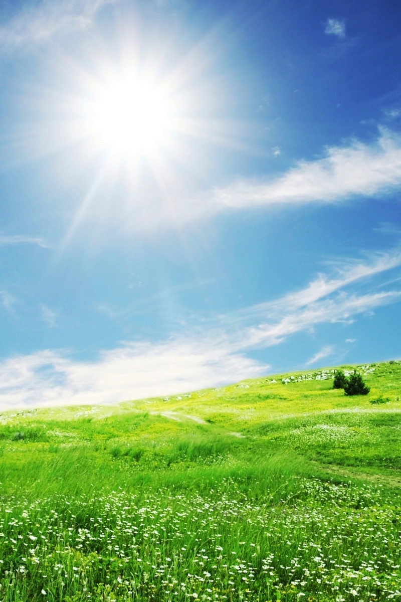 Image: Landscape, field, grass, sky, sun, clouds