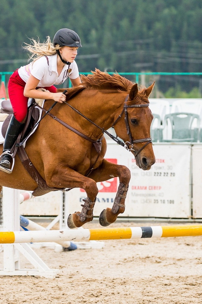 Картинка: Конь, прыжок, движение, девушка, всадница, шлем, экипировка