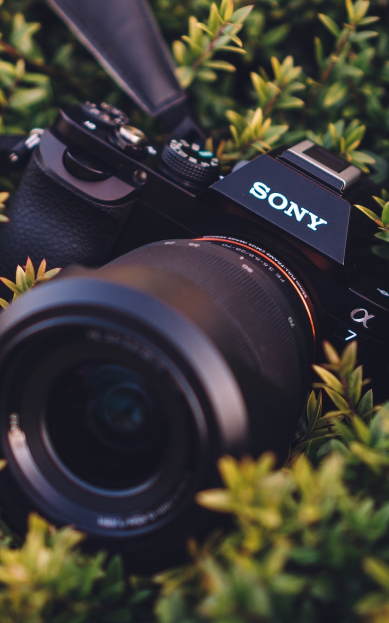 Картинка: Sony, A7, фотоаппарат, камера, объектив, листики, трава