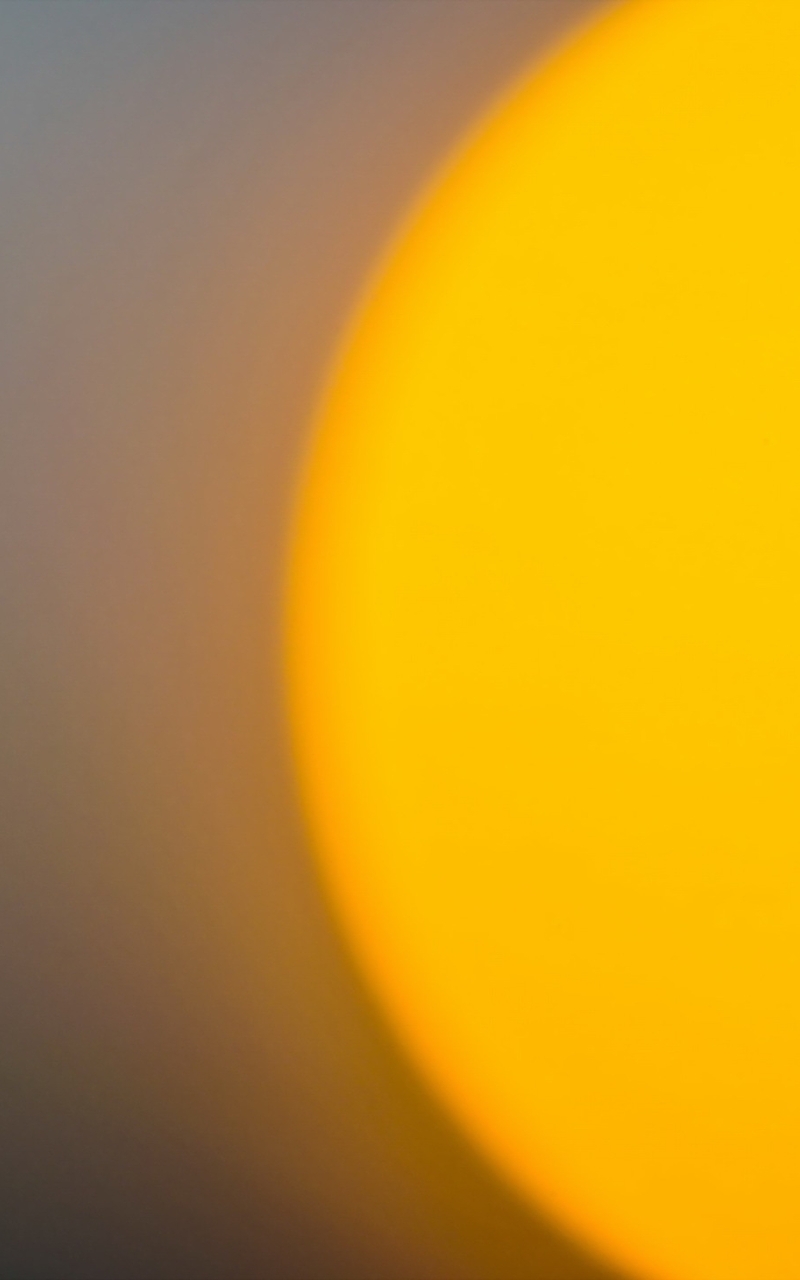 Картинка: Капли, солнце, жёлтое, закат, нитка паутины