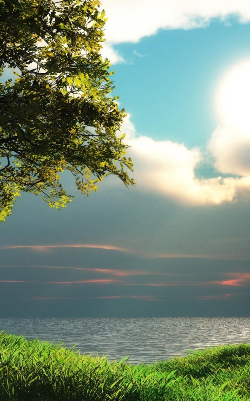 Картинка: Дерево, природа, трава, берег, озеро, небо, облака, закат, солнце