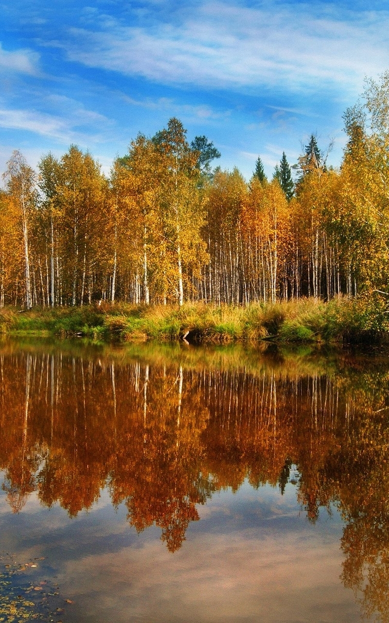 Картинка: Осень, деревья, листва, трава, отражение, озеро, вода, день, небо, облака