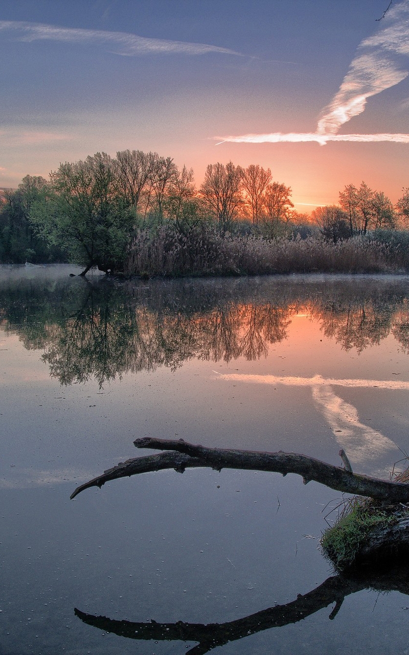 Image: Nature, trees, river, lake, dawn