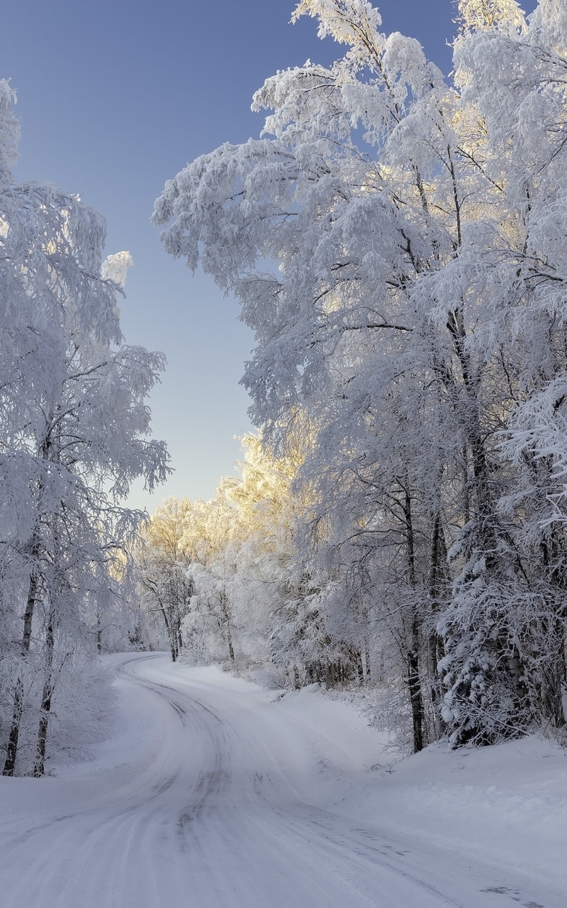 Картинка: зима, дорога, лес, деревья, снег, пейзаж